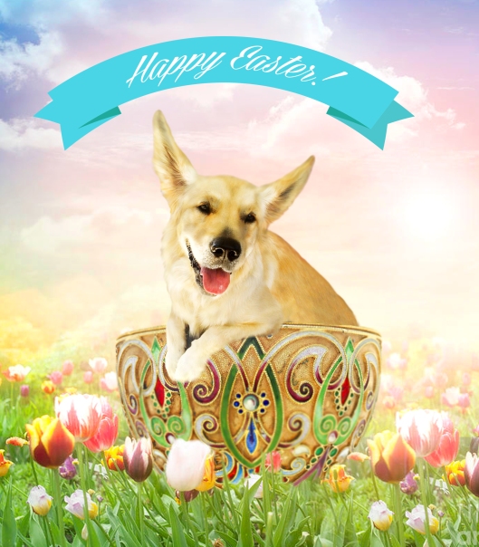 happy-easter-dog-bunny-humor-egg